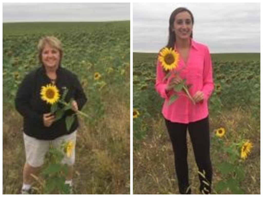 Sunflower Field - author provided images