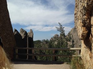 Needles Highway - author provided image