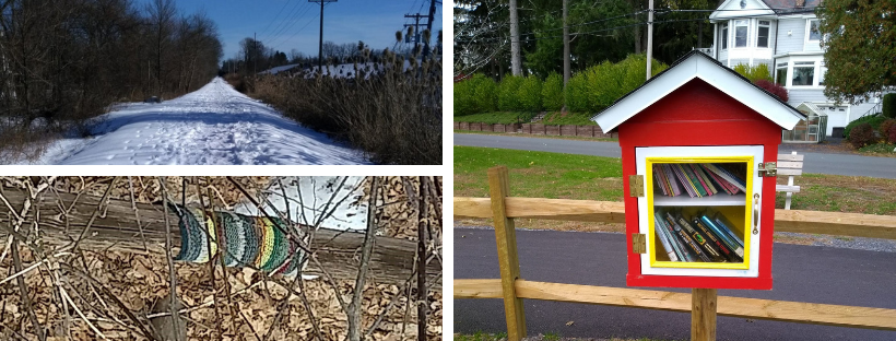 Scenes from a walk -- a snowy trail, a yarn bomb, and a little free library