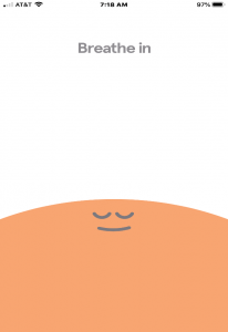 Screen capture of Headspace application