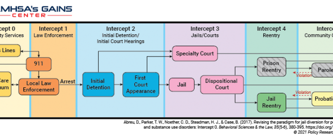 Bringing Your Sequential Intercept Model Mapping Workshop to Life: Part 2— Bringing Together a Complex, Fragmented, and Diverse System