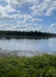 landscape image of the bay in Olympia, Washington