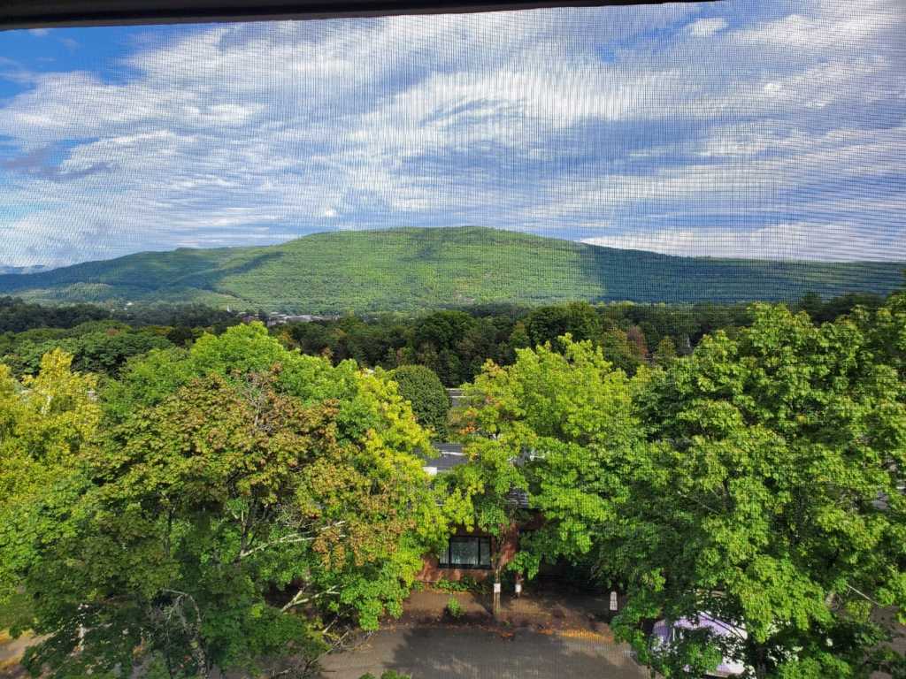 A green mountain and trees